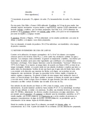 Afrechillo 22 22
Otros ingredientes* 8 8
* Concentrado de pescado: 3%, alginato de sodio: 2%, hexametafosfato de sodio: 1%, vitaminas:
2%
Por otra parte, Zein Eldin y Fenucci (MS) utilizando P.setiferus de 2.0 mg de peso medio, han
obtenido mejores incrementos en pesos medios y supervivencia superior al 80% alimentando con
larvasde Artemia y rotíferos, que con dietas preparadas. San Feliu et al., (1973) alimentan las
postlarvas de P. kerathurus primero con Artemia salina adulta y de a poco la van reemplazando
por carne de mejillón y cangrejo trozado.
P. japonicus (Kurata y Shigeno, 1979) es alimentado en los estadios postlarvales con carne de
almeja y mejillón y en algunos casos dietas preparadas.
Una vez alcanzado el estadio de postlarva 20 ó 25 los individuos son transferidos a los tanques
de precría o nurseries.
5.2 METODO INTERMEDIO DE CRIA DE LARVAS
Consiste en la utilización de tanques rectangulares de 5 a 10 m3 de volumen con esquinas
cóncavas para la cría de larvas hasta PL20–25, enlos cuales hay circulación continua de agua y
aireación. Los estanques están construídos en general en manpostería o ladrillos, recu biertos por
varias manos de pintura epoxi para evitar rugosidades que contribuyen a la contaminación
bacteriana y de hongos. Estos tanques funcionan como las denominadas “raceways” (Mock et al.,
1977). En la Figura 16 se muestra un tanque típico de acuerdo con Simon (1981), se trata de un
tanque rectangular dividido en su parte media por una plancha de plástico o madera que tiene a a
ambos lados las denominadas bombas de aire que hacen que el agua suba del fondo hacia arriba
y sea enviada en la dirección que muestran las flechas en la figura, así se produce no solo
oxigenación sino movimiento del agua; la concavidad de los vértices impide el depósito de
materia orgánica e impurezas. En general el fondo de estos tanques tiene inclinación hacia el
centro y el área de drenaje. En la figura también se muestra el sistema de vaciado que es simple,
y con solo mover el tubo se logra sacar el volumen de agua deseado. Este tubo se encuentra
conectado a un filtro vertical de distinto tipo de malla de no mas de 25μ.
Este métodos ha sido descrito por Simon en 1981 y tiene la ventaja, como se ha dicho
anteriormente, de poder mantener postlarvas hasta estadios Pl 23–25. La metodología de trabajo
y tipo de agua utilizada es similar a la americana. Se utiliza una densidad de larvas de camarones
entre 50–100/litro, alimentando los diversos estadios de protozoea con algas unicelulares. Así
por ejemplo para P. monodon y P. vannamei se alimentó para las densidades antedichas en el V
estadio naupliar con 50.000 células/ml de Chaetoceros sp, y en los estadios de protozoea se
agregaron concentraciones de algas de 80.000–100.000 células/ml, no permitiendo que la
concentración de las mismas bajara de 40.000 células/ml.
Desde los estadios de mysis hasta Pl3 se alimenta con nauplii de Artemia salina, en
concentraciones de 2–3/ml. A partir del estadio Pl3 se comienza con una alimentación preparada,
 
