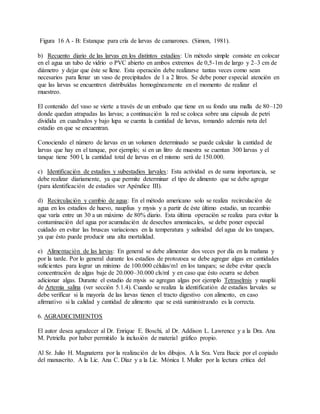 Figura 16 A - B: Estanque para cría de larvas de camarones. (Simon, 1981).
b) Recuento diario de las larvas en los distintos estadios: Un método simple consiste en colocar
en el agua un tubo de vidrio o PVC abierto en ambos extremos de 0,5-1m de largo y 2–3 cm de
diámetro y dejar que éste se llene. Esta operación debe realizarse tantas veces como sean
necesarios para llenar un vaso de precipitados de 1 a 2 litros. Se debe poner especial atención en
que las larvas se encuentren distribuídas homogéneamente en el momento de realizar el
muestreo.
El contenido del vaso se vierte a través de un embudo que tiene en su fondo una malla de 80–120
donde quedan atrapadas las larvas; a continuación la red se coloca sobre una cápsula de petri
dividida en cuadrados y bajo lupa se cuenta la cantidad de larvas, tomando además nota del
estadio en que se encuentran.
Conociendo el número de larvas en un volumen determinado se puede calcular la cantidad de
larvas que hay en el tanque, por ejemplo; si en un litro de muestra se cuentan 300 larvas y el
tanque tiene 500 l, la cantidad total de larvas en el mismo será de 150.000.
c) Identificación de estadios y subestadios larvales: Esta actividad es de suma importancia, se
debe realizar diariamente, ya que permite determinar el tipo de alimento que se debe agregar
(para identificación de estadios ver Apéndice III).
d) Recirculación y cambio de agua: En el método americano solo se realiza recirculación de
agua en los estadios de huevo, nauplius y mysis y a partir de éste último estadio, un recambio
que varía entre un 30 a un máximo de 80% diario. Esta última operación se realiza para evitar la
contaminación del agua por acumulación de desechos amoniacales, se debe poner especial
cuidado en evitar las bruscas variaciones en la temperatura y salinidad del agua de los tanques,
ya que ésto puede producir una alta mortalidad.
e) Alimentación de las larvas: En general se debe alimentar dos veces por día en la mañana y
por la tarde. Por lo general durante los estadios de protozoea se debe agregar algas en cantidades
suficientes para lograr un mínimo de 100.000 células/ml en los tanques; se debe evitar quecla
concentración de algas baje de 20.000–30.000 cls/ml y en caso que ésto ocurra se deben
adicionar algas. Durante el estadio de mysis se agregan algas por ejemplo Tetraselmis y nauplii
de Artemia salina (ver sección 5.1.4). Cuando se realiza la identificatión de estadios larvales se
debe verificar si la mayoría de las larvas tienen el tracto digestivo con alimento, en caso
afirmativo si la calidad y cantidad de alimento que se está suministrando es la correcta.
6. AGRADECIMIENTOS
El autor desea agradecer al Dr. Enrique E. Boschi, al Dr. Addison L. Lawrence y a la Dra. Ana
M. Petriella por haber permitido la inclusión de material gráfico propio.
Al Sr. Julio H. Magnaterra por la realización de los dibujos. A la Sra. Vera Bacic por el copiado
del manuscrito. A la Lic. Ana C. Díaz y a la Lic. Mónica I. Muller por la lectura crítica del
 