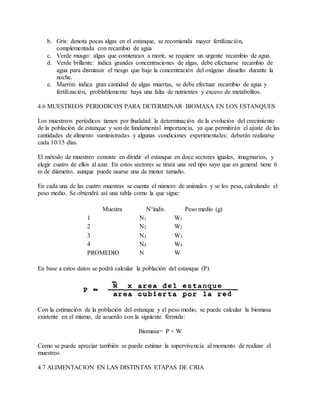 b. Gris: denota pocas algas en el estanque, se recomienda mayor fertilización,
complementada con recambio de agua
c. Verde musgo: algas que comienzan a morir, se requiere un urgente recambio de agua.
d. Verde brillante: indica grandes concentraciones de algas, debe efectuarse recambio de
agua para disminuir el riesgo que baje la concentración del oxígeno disuelto durante la
noche.
e. Marrón: indica gran cantidad de algas muertas, se debe efectuar recambio de agua y
fertilización, problablemente haya una falta de nutrientes y exceso de metabolitos.
4.6 MUESTREOS PERIODICOS PARA DETERMINAR BIOMASA EN LOS ESTANQUES
Los muestreos periódicos tienen por finalidad la determinación de la evolución del crecimiento
de la población de estanque y son de fundamental importancia, ya que permitirán el ajuste de las
cantidades de alimento suministradas y algunas condiciones experimentales; deberán realizarse
cada 10/15 días.
El método de muestreo consiste en dividir el estanque en doce sectores iguales, imaginarios, y
elegir cuatro de ellos al azar. En estos sectores se tirará una red tipo sayo que en general tiene 6
m de diámetro, aunque puede usarse una de menor tamaño.
En cada una de las cuatro muestras se cuenta el número de animales y se los pesa, calculando el
peso medio. Se obtendrá así una tabla como la que sigue:
Muestra N°indiv. Peso medio (g)
1 N1 W1
2 N2 W2
3 N3 W3
4 N4 W4
PROMEDIO N W
En base a estos datos se podrá calcular la población del estanque (P).
Con la estimación de la población del estanque y el peso medio, se puede calcular la biomasa
existente en el mismo, de acuerdo con la siguiente fórmula:
Biomasa= P × W
Como se puede apreciar también se puede estimar la supervivencia al momento de realizar el
muestreo.
4.7 ALIMENTACION EN LAS DISTINTAS ETAPAS DE CRIA
 