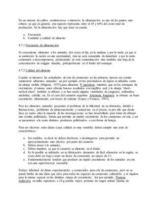 En un sistema de cultivo semiintensivo o intensivo la alimentación es uno de los puntos más
críticos ya que en general, este aspecto representa entre el 45 y 60% del costo total de
producción. En la alimentación hay que tener en cuenta:
a. Frecuencia
b. Cantidad y calidad de alimento
4.7.1 Frecuencia de alimentación
Es conveniente alimentar a los animales dos veces al día, en la mañana y por la tarde, ya que si
se suministra la ración en una oportunidad, ésta no será consumida de inmediato y por lo tanto
comenzará a descomponerse, produciendo no solo contaminación sino también una baja de la
concentración de oxíggno disuelto, principalmente en el fondo del estanque.
4.7.2 Calidad del alimento
Cuando se iniciaron las actiyidades de cría de camarones en las primeras épocas era común
suministrar alimentos naturales: así por ejemplo en los precriaderos de Japón se utilizaba carne
de almeja molida (Shigeno, 1975) para alimentar P. japonicus; mientras que en los estanques de
crecimiento el mismo autor obtenía buenos resultados con mejillón azul y la almeja “short-
necked clam”, también se utilizan y se han usado algunas variedades de cangrejos, eufáusidos,
anchoítas, caballa, etc. En el caso del camarón argentino Artemesia longinaris se obtiene un buen
crecimiento alimentando con trozos de calamar (López y Fenucci, 1987).
Pero los alimentos naturales presentan el problema de la dificultad de su obtención, debido a
fluctuaciones, problemas de almacenamiento y variaciones en el precio; es por ello que desde
hace ya varios años la mayoría de las investigaciones se han desarrollado para tratar de obtener
una comida pelletizada, barata que permita un rápido crecimiento de los camarones en cría, y así
se ancuentran a la venta distintos productos pelletizados o con forma de lenteja.
Para ser efectivas estas dietas (cuya calidad es muy variable) deben cumplir una serie de
características:
a. Ser estables, es decir no deben disolverse o desintegrarse para permitir un
aprovechamiento más efectivo por parte del camarón.
b. Deben atraer a lo animales.
c. Deben hundirse ya que el camarón se alimenta en el fondo.
d. En lo posible se utilizarán en su fabricación elementos de fácil obtanción en la región, su
costo debe ser bajo y tener un factor de conversión no mayor de 2:1.
e. Fundamentalmente tendrán que producir un rápido crecimiento de los animales en cría
con una supervivencia razonable.
Existen infinidad de dietas experimentales y comerciales para cría de camarones, pero no se
puede hablar de una dieta que sirva para todas las especies de camarones cultivables y ni siquiera
para la misma especie en las distintas etapas de crecimiento. Así por ejemplo: Penaeus
stylirostris en tallas superiores a 10 g asimila mejor, proteina de origen animal (harina de
 