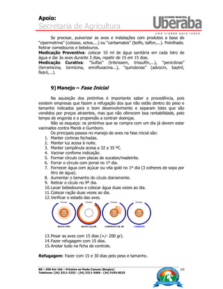 Apoio:
Secretaria de Agricultura
BR – 050 Km 164 – Próximo ao Posto Caxuxa (Borgico)
Telefones: (34) 3311-5252 - (34) 3311-5484 - (34) 9195-8525
10
Se precisar, pulverizar as aves e instalações com produtos a base de
“cipermetrina” (colosso, ectox,...) ou “carbamatos” (bolfo, talfon,...). Polvilhado.
Retirar comedouros e bebdouros.
Medicação Preventiva: colocar 10 ml de água sanitária em cada lidro de
água e dar às aves durante 3 dias, repetir de 15 em 15 dias.
Medicação Curativa: “Sulfas” (tribrissem, trissulfin,...), “penicilinas”
(terramicina, tormicina, enrofluxacina...), “quinolonas” (advocin, baytril,
flotril,...).
9) Manejo – Fase Inicial
Na aquisição dos pintinhos é importante saber a procedência, pois
existem empresas que fazem a refugação dos que não estão dentro do peso e
tamanho indicados para o bom desenvolvimento e separam lotes que são
vendidos por preços atraentes, mas que não oferecem boa rentabilidade, pelo
tempo de engorda e a propensão a contrair doenças.
Não se esqueça: os pintinhos que se compra com um dia já devem estar
vacinados contra Marek e Gumboro.
Os principais passos no manejo de aves na fase inicial são:
1. Manter cortinas fechadas.
2. Manter luz acesa à noite.
3. Manter campânula acesa a 32 a 35 ºC.
4. Vacinar confome indicação.
5. Formar círculo com placas de eucatex/madeirite.
6. Forrar o círculo com jornal no 1º dia.
7. Fornecer água com açúcar ou vita gold no 1º dia (3 colheres de sopa por
litro de água).
8. Aumentar o tamanho do cículo diariamente.
9. Retirar o cículo no 9º dia.
10.Lavar bebedouros e colocar água duas vezes ao dia.
11.Colocar ração duas vezes ao dia.
12.Verificar o estado das aves.
13.Pesar as aves com 15 dias (+/- 200 gr).
14.Fazer refugagem com 15 dias.
15.Anotar tudo na ficha de controle.
Refugagem: Fazer com 15 e 30 dias pelo peso e tamanho.
 