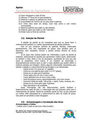 Apoio:
Secretaria de Agricultura
BR – 050 Km 164 – Próximo ao Posto Caxuxa (Borgico)
Telefones: (34) 3311-5252 - (34) 3311-5484 - (34) 9195-8525
13
12.Fazer refugagem a cada 30 dias.
13.Oferecer 17 horas de luz para poedeiras.
14.Observar e separar as galinhas em choco.
15.A quantidade de ninhos é de um para cada 4 galinhas.
16.O ninho deve estar em abrigo, local mais calmo e com menos
luminosidade.
17.Observar galinhas que estão ou não botando.
18.Observar galos que estão ou não “cobrindo”.
19.Anotar tudo na ficha de controle.
12) Seleção do Plantel
A seleção do plantel se faz necessário para que se possa fazer o
melhoramento genético e o melhor aproveitamento do plantel existente.
Para os que compram pintinho de galinhas híbridas, melhoradas
geneticamente, mas sem capacidade de passar essa genética para os
descentes, será necessário renovar o plantel sempre através de novos
pintinhos.
Já as raças mais rústicas podem ser melhoradas a partir do plantel já
existente, selecionando-se aqueles que apresentam melhor porte, observando-
se barbela e crista, estilo e viço da plumagem, quantidade de ovos que põe
(para as poedeiras), entre outros. É um trabalho de observação e
acompanhamento próximo para se ater a esses detalhes que podem definir a
melhoria genética da linhagem. Abaixo algumas informações importantes para
facilitar a seleção e o desenvolvimento da linhagem a ser selecionada.
- Coloca-se de 4 a 6 aves por m2
(galpão).
- Coloca-se uma galinha para cada 3 a 4 m2
(pasto).
- Coloca-se um galo para 8 galinhas.
- Trocar galos com um ano e meio a dois.
- Trocar galinhas com um ano e meio a dois.
- Início da postura ocorre, aproximadamente, com cinco meses.
- Consumo médio de ração: 100 gr/dia + capim, frutas, verduras, etc.
- Coloca-se um ninho para cada 4 galinhas.
- Água abundante e de qualidade.
Essas informações não são determinantes, porém facilitam o
desenvolvimento sadio do lote e a observação dos que possuem porte para o
melhoramento do plantel. Dando-se condições iguais ao lote, os que possuem
um melhor DNA sobressaem-se e desenvolvem-se além da média do grupo.
Isso pode ser percebido a cada refugagem.
13) Armazenagem e Incubação dos Ovos
Armazenagem e Coleta:
- Coletar ovos 5 vezes ao dia (com mãos lavadas).
 