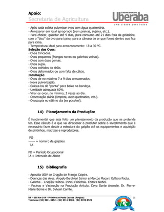 Apoio:
Secretaria de Agricultura
BR – 050 Km 164 – Próximo ao Posto Caxuxa (Borgico)
Telefones: (34) 3311-5252 - (34) 3311-5484 - (34) 9195-8525
14
- Após cada coleta pulverizar ovos com água quaternária.
- Armazenar em local apropriado (sem poeiras, sujeira, etc.).
- Para chocar, guardar até 9 dias, para consumo até 21 dias fora da geladeira,
com o “bico” do ovo para baixo, para a câmara de ar que forma dentro ovo fica
para cima.
- Temperatura ideal para armazenamento: 18 a 30 ºC.
Seleção dos Ovos:
- Ovos trincados.
- Ovos pequenos (frangas novas ou galinhas velhas).
- Ovos com duas gemas.
- Ovos sujos.
- Ovos colhidos do chão.
- Ovos deformados ou com falta de cálcio.
Incubação:
- Ovos de no máximo 7 a 9 dias armazenados.
- Nova pulverização.
- Coloca-los de “ponta” para baixo na bandeja.
- Umidade adequada 60%.
- Virar os ovos, no mínimo, 3 vezes ao dia.
- Observação diária (limpeza, ovos quebrados, etc.).
- Ovoscopia no sétimo dia (se possível).
14) Planejamento da Produção:
É fundamental que seja feito um planejamento da produção que se pretende
ter. Esse cálculo é o que vai direcionar o produtor sobre o investimento que é
necessário fazer desde a estrutura do galpão até os equipamentos e aquisição
de pintinhos, matrizes e reprodutores.
PO
------ = número de galpões
IA
PO = Período Ocupacional
IA = Intervalo de Abate
15) Bibliografia
- Apostila UOV de Criação de Frango Caipira.
- Doenças das Aves. Ângelo Berchieri Júnior e Marcos Macari. Editora Facta.
- Galinha – Criação Prática. Irineu Fabichak. Editora Nobel.
- Vacinas e Vacinação na Produção Avícola. Ceva Sante Animale. Dr. Pierre-
Marie Borne e Dr. Sylvain Comte.
 