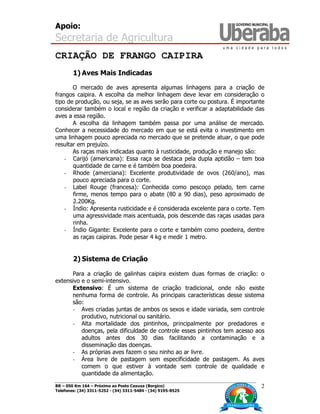 Apoio:
Secretaria de Agricultura
BR – 050 Km 164 – Próximo ao Posto Caxuxa (Borgico)
Telefones: (34) 3311-5252 - (34) 3311-5484 - (34) 9195-8525
2
CRIAÇÃO DE FRANGO CAIPIRA
1) Aves Mais Indicadas
O mercado de aves apresenta algumas linhagens para a criação de
frangos caipira. A escolha da melhor linhagem deve levar em consideração o
tipo de produção, ou seja, se as aves serão para corte ou postura. É importante
considerar também o local e região da criação e verificar a adaptabilidade das
aves a essa região.
A escolha da linhagem também passa por uma análise de mercado.
Conhecer a necessidade do mercado em que se está evita o investimento em
uma linhagem pouco apreciada no mercado que se pretende atuar, o que pode
resultar em prejuízo.
As raças mais indicadas quanto à rusticidade, produção e manejo são:
- Carijó (americana): Essa raça se destaca pela dupla aptidão – tem boa
quantidade de carne e é também boa poedeira.
- Rhode (amerciana): Excelente produtividade de ovos (260/ano), mas
pouco apreciada para o corte.
- Label Rouge (francesa): Conhecida como pescoço pelado, tem carne
firme, menos tempo para o abate (80 a 90 dias), peso aproximado de
2.200Kg.
- Índio: Apresenta rusticidade e é considerada excelente para o corte. Tem
uma agressividade mais acentuada, pois descende das raças usadas para
rinha.
- Índio Gigante: Excelente para o corte e também como poedeira, dentre
as raças caipiras. Pode pesar 4 kg e medir 1 metro.
2) Sistema de Criação
Para a criação de galinhas caipira existem duas formas de criação: o
extensivo e o semi-intensivo.
Extensivo: É um sistema de criação tradicional, onde não existe
nenhuma forma de controle. As principais características desse sistema
são:
- Aves criadas juntas de ambos os sexos e idade variada, sem controle
produtivo, nutricional ou sanitário.
- Alta mortalidade dos pintinhos, principalmente por predadores e
doenças, pela dificuldade de controle esses pintinhos tem acesso aos
adultos antes dos 30 dias facilitando a contaminação e a
disseminação das doenças.
- As próprias aves fazem o seu ninho ao ar livre.
- Área livre de pastagem sem especificidade de pastagem. As aves
comem o que estiver à vontade sem controle de qualidade e
quantidade da alimentação.
 