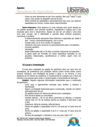 Apoio:
Secretaria de Agricultura
BR – 050 Km 164 – Próximo ao Posto Caxuxa (Borgico)
Telefones: (34) 3311-5252 - (34) 3311-5484 - (34) 9195-8525
3
- Como as aves alimentam-se por livre escolha, têm que “caçar” o que
comer, isso auxilia no desgaste natural do bico.
- Difícil controle de natalidade e aproveitamento dos ovos, por estarem
espalhados em ninhos, muitas vezes, desconhecidos.
Semi-Intensivo: Esse sistema é o mais indicado para quem deseja ter
um plantel saudável, com controle sanitário, respeitando o espaço que a ave
necessita para viver e desenvolver. Apesar da ave ter um pasto e uma área
livre para circular, ele é delimitado e permite total controle produtivo,
nutricional e sanitário.
- O desenvolvimento apresenta fases distintas e separadas por idade e
lote – inicial, crescimento/engorda, cria e recria.
- Criação solta, ao ar livre, divido em piquetes.
- Venda de ovos para consumo ou aproveitamento para o incubatório.
- Controle sanitário
- Vacinação
- Ração balanceada até os 36 dias e controle nutricional nos piquetes.
- O pasto pode ser formado em áreas específicas fechadas ou em
piquetes rotacionados, escolhendo-se o melhor capim (rico em
proteína).
3) Local e Instalação
O local para instalação do galpão do galinheiro deve ser seco livre de
inundações, de preferência com proteção natural contra ventos fortes (como
árvores, bambus), com facilidade de acesso a água e, no mínimo, a uma
distância de 50 metros da residência. É fundamental ter cuidado com o fluxo de
trânsito e de pessoas para evitar a contaminação e transmissão de doenças.
Galpão: Seguem algumas informações importantes para a construção
do galinheiro:
- Local seco e ligeiramente inclinado para facilitar a limpeza e
desinfecção.
- Seguir a orientação leste/oeste para a construção, visando um melhor
aproveitamento do sol.
- Os galpões devem ter aberturas laterais para a pastagem.
- Piso de terra batido ou concretado.
- Paredes laterais – 30 cm de altura (alvenaria ou tábuas), o restante
colocar tela 1,5” fio 18, trelissa, bambu ou madeira. A tela deve ir até
o teto.
- Cobertura: telha de amianto, telha de barro.
- Dentro do galpão a capacidade é de 8 a 10 aves por m2
para aves de
corte.
- Dentro do galpão a capacidade é de 5 a 7 aves por m2
para aves de
postura.
- Na área de pastagem o indicado é uma ave para cada 4 m2
.
 