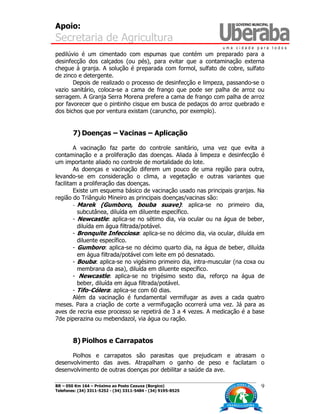 Apoio:
Secretaria de Agricultura
BR – 050 Km 164 – Próximo ao Posto Caxuxa (Borgico)
Telefones: (34) 3311-5252 - (34) 3311-5484 - (34) 9195-8525
9
pedilúvio é um cimentado com espumas que contém um preparado para a
desinfecção dos calçados (ou pés), para evitar que a contaminação externa
chegue à granja. A solução é preparada com formol, sulfato de cobre, sulfato
de zinco e detergente.
Depois de realizado o processo de desinfecção e limpeza, passando-se o
vazio sanitário, coloca-se a cama de frango que pode ser palha de arroz ou
serragem. A Granja Serra Morena prefere a cama de frango com palha de arroz
por favorecer que o pintinho cisque em busca de pedaços do arroz quebrado e
dos bichos que por ventura existam (caruncho, por exemplo).
7) Doenças – Vacinas – Aplicação
A vacinação faz parte do controle sanitário, uma vez que evita a
contaminação e a proliferação das doenças. Aliada à limpeza e desinfecção é
um importante aliado no controle de mortalidade do lote.
As doenças e vacinação diferem um pouco de uma região para outra,
levando-se em consideração o clima, a vegetação e outras variantes que
facilitam a proliferação das doenças.
Existe um esquema básico de vacinação usado nas principais granjas. Na
região do Triângulo Mineiro as principais doenças/vacinas são:
- Marek (Gumboro, bouba suave): aplica-se no primeiro dia,
subcutânea, diluída em diluente específico.
- Newcastle: aplica-se no sétimo dia, via ocular ou na água de beber,
diluída em água filtrada/potável.
- Bronquite Infecciosa: aplica-se no décimo dia, via ocular, diluída em
diluente específico.
- Gumboro: aplica-se no décimo quarto dia, na água de beber, diluída
em água filtrada/potável com leite em pó desnatado.
- Bouba: aplica-se no vigésimo primeiro dia, intra-muscular (na coxa ou
membrana da asa), diluída em diluente específico.
- Newcastle: aplica-se no trigésimo sexto dia, reforço na água de
beber, diluída em água filtrada/potável.
- Tifo-Cólera: aplica-se com 60 dias.
Além da vacinação é fundamental vermifugar as aves a cada quatro
meses. Para a criação de corte a vermifugação ocorrerá uma vez. Já para as
aves de recria esse processo se repetirá de 3 a 4 vezes. A medicação é a base
7de piperazina ou mebendazol, via água ou ração.
8) Piolhos e Carrapatos
Piolhos e carrapatos são parasitas que prejudicam e atrasam o
desenvolvimento das aves. Atrapalham o ganho de peso e facilatam o
desenvolvimento de outras doenças por debilitar a saúde da ave.
 