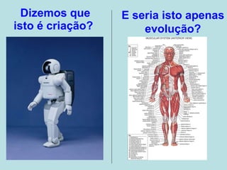 Dizemos que isto é criação? E seria isto apenas evolução?