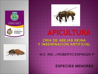 M.C. ING. J.ROBERTO ESPINOZA P
CRIA DE ABEJAS REINACRIA DE ABEJAS REINA
Y INSEMINACION ARTIFICIALY INSEMINACION ARTIFICIAL
ESPECIES MENORES
 