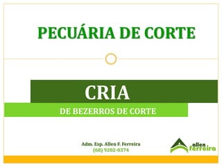 PECUÁRIA DE CORTE

CRIA
DE BEZERROS DE CORTE

Adm. Esp. Allen F. Ferreira
(68) 9202-0374

 