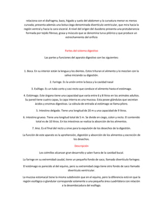 relaciona con el diafragma, bazo, hígado y suelo del abdomen y la curvatura menor es menos
curvada; presenta además una bolsa ciega denominada divertículo ventricular, que mira hacia la
región ventral y hacia la cara visceral. A nivel del origen del duodeno presenta una protuberancia
  formada por tejido fibroso, grasa y músculo que se denomina turus pilórico y que produce un
                                     estrechamiento del orificio



                                     Partes del sistema digestivo

                  Las partes y funciones del aparato digestivo son las siguientes:



 1. Boca. En su interior están la lengua y los dientes. Estos trituran el alimento y lo mezclan con la
                                     saliva iniciando su digestión.

                       2. Faringe. Es la unión entre la boca y la cavidad nasal

       3. Esófago. Es un tubo corto y casi recto que conduce el alimento hasta el estómago.

4. Estómago. Este órgano tiene una capacidad que varía entre 6 y 8 litros en los animales adultos.
 Su pared tiene cuatro capas, la capa interna es una mucosa. Esta posee glándulas que secretan
         ácidos y enzimas digestivas. La válvula de entrada al estómago se llama píloro.

           5. Intestino delgado. Tiene una longitud de 20 m y una capacidad de 9 litros.

6. Intestino grueso. Tiene una longitud total de 5 m. Se divide en ciego, colon y recto. El contenido
            total es de 10 litros. En los intestinos se realiza la absorción de los alimentos.

        7. Ano. Es el final del recto y sirve para la expulsión de los desechos de la digestión.

La función de este aparato es la aprehensión, digestión y absorción de los alimentos y excreción de
                                           los desechos.

                                             Descripción

              Los colmillos alcanzan gran desarrollo y salen fuera de la cavidad bucal.

La faringe en su extremidad caudal, tiene un pequeño fondo de saco, llamado divertículo faríngeo.

El estómago es parecido al del equino, pero su extremidad ciega tiene otro fondo de saco llamado
                                     divertículo ventricular.

La mucosa estomacal tiene la misma subdivisión que en el equino, pero la diferencia está en que la
región esofágica o glandular corresponde solamente a una pequeña área cuadrilátera con relación
                                 a la desembocadura del esófago.
 