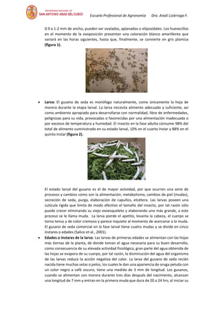 Escuela Profesional de Agronomía Dra. Analí Lizárraga F.
0.9 a 1-2 mm de ancho, pueden ser ovalados, aplanados o elipsoidales. Los huevecillos
en el momento de la ovoposición presentan una coloración blanco amarillenta que
variará en las horas siguientes, hasta que, finalmente, se convierte en gris plomiza
(figura 1).
• Larva: El gusano de seda es monófago naturalmente, come únicamente la hoja de
morera durante la etapa larval. La larva necesita alimento adecuado y suficiente, así
como ambiente apropiado para desarrollarse con normalidad, libre de enfermedades,
peligrosas para su vida, provocadas o favorecidas por una alimentación inadecuada o
por excesos de temperatura y humedad. El insecto en la fase adulta consume 98% del
total de alimento suministrado en su estado larval, 10% en el cuarto ínstar y 88% en el
quinto ínstar (figura 2).
El estado larval del gusano es el de mayor actividad, por que ocurren una serie de
procesos y cambios como son la alimentación, metabolismo, cambios de piel (mudas),
secreción de seda, purga, elaboración de capullos, etcétera. Las larvas poseen una
cutícula rígida que limita de modo efectivo el tamaño del insecto, por tal razón sólo
puede crecer eliminando su viejo exoesqueleto y elaborando uno más grande, a este
proceso se le llama muda. La larva pierde el apetito, levanta la cabeza, el cuerpo se
torna tenso y de color cremoso y parece inquieto al momento de acercarse a la muda.
El gusano de seda comercial en la fase larval tiene cuatro mudas y se divide en cinco
ínstares o edades (Salice et al., 2001).
• Edades o ínstares de la larva: Las larvas de primeras edades se alimentan con las hojas
más tiernas de la planta, de donde toman el agua necesaria para su buen desarrollo,
como consecuencia de su elevada actividad fisiológica, gran parte del agua obtenida de
las hojas se evapora de su cuerpo, por tal razón, la disminución del agua del organismo
de las larvas reduce la acción negativa del calor. La larva del gusano de seda recién
nacida tiene muchas setas o pelos, los cuales le dan una apariencia de oruga peluda con
un color negro a café oscuro, tiene una medida de 3 mm de longitud. Los gusanos,
cuando se alimentan con morera durante tres días después del nacimiento, alcanzan
una longitud de 7 mm y entran en la primera muda que dura de 20 a 24 hrs; al iniciar su
 