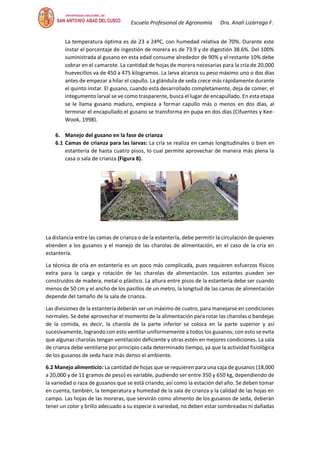 Escuela Profesional de Agronomía Dra. Analí Lizárraga F.
La temperatura óptima es de 23 a 24ºC, con humedad relativa de 70%. Durante este
ínstar el porcentaje de ingestión de morera es de 73.9 y de digestión 38.6%. Del 100%
suministrada al gusano en esta edad consume alrededor de 90% y el restante 10% debe
sobrar en el camarote. La cantidad de hojas de morera necesarias para la cría de 20,000
huevecillos va de 450 a 475 kilogramos. La larva alcanza su peso máximo uno o dos días
antes de empezar a hilar el capullo. La glándula de seda crece más rápidamente durante
el quinto ínstar. El gusano, cuando está desarrollado completamente, deja de comer, el
integumento larval se ve como trasparente, busca el lugar de encapullado. En esta etapa
se le llama gusano maduro, empieza a formar capullo más o menos en dos días, al
terminar el encapullado el gusano se transforma en pupa en dos días (Cifuentes y Kee-
Wook, 1998).
6. Manejo del gusano en la fase de crianza
6.1 Camas de crianza para las larvas: La cría se realiza en camas longitudinales o bien en
estantería de hasta cuatro pisos, lo cual permite aprovechar de manera más plena la
casa o sala de crianza (Figura 8).
La distancia entre las camas de crianza o de la estantería, debe permitir la circulación de quienes
atienden a los gusanos y el manejo de las charolas de alimentación, en el caso de la cría en
estantería.
La técnica de cría en estantería es un poco más complicada, pues requieren esfuerzos físicos
extra para la carga y rotación de las charolas de alimentación. Los estantes pueden ser
construidos de madera, metal o plástico. La altura entre pisos de la estantería debe ser cuando
menos de 50 cm y el ancho de los pasillos de un metro, la longitud de las camas de alimentación
depende del tamaño de la sala de crianza.
Las divisiones de la estantería deberán ser un máximo de cuatro, para manejarse en condiciones
normales. Se debe aprovechar el momento de la alimentación para rotar las charolas o bandejas
de la comida, es decir, la charola de la parte inferior se coloca en la parte superior y así
sucesivamente, logrando con esto ventilar uniformemente a todos los gusanos; con esto se evita
que algunas charolas tengan ventilación deficiente y otras estén en mejores condiciones. La sala
de crianza debe ventilarse por principio cada determinado tiempo, ya que la actividad fisiológica
de los gusanos de seda hace más denso el ambiente.
6.2 Manejo alimenticio: La cantidad de hojas que se requieren para una caja de gusanos (18,000
a 20,000 y de 11 gramos de peso) es variable, pudiendo ser entre 350 y 650 kg, dependiendo de
la variedad o raza de gusanos que se está criando, así como la estación del año. Se deben tomar
en cuenta, también, la temperatura y humedad de la sala de crianza y la calidad de las hojas en
campo. Las hojas de las moreras, que servirán como alimento de los gusanos de seda, deberán
tener un color y brillo adecuado a su especie o variedad, no deben estar sombreadas ni dañadas
 