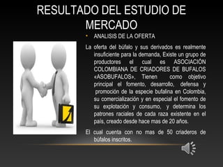RESULTADO DEL ESTUDIO DE
MERCADO
• ANALISIS DE LA OFERTA
La oferta del búfalo y sus derivados es realmente
insuficiente para la demanda, Existe un grupo de
productores el cual es ASOCIACIÓN
COLOMBIANA DE CRIADORES DE BUFALOS
«ASOBUFALOS», Tienen como objetivo
principal el fomento, desarrollo, defensa y
promoción de la especie bufalina en Colombia,
su comercialización y en especial el fomento de
su explotación y consumo, y determina los
patrones raciales de cada raza existente en el
país, creado desde hace mas de 20 años.
El cual cuenta con no mas de 50 criaderos de
búfalos inscritos.
 