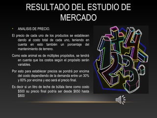 RESULTADO DEL ESTUDIO DE
MERCADO
• ANALISIS DE PRECIO.
El precio de cada uno de los productos se establecen
dando al costo total de cada uno, teniendo en
cuenta en esto también un porcentaje del
mantenimiento de terreno.
Como este animal es de múltiples propósitos, se tendrá
en cuenta que los costos según el propósito serán
variables.
Por esto para establecer precios se pondrá por encima
del costo dependiendo de la demanda entre un 30%
y 60% por encima y eso será el precio final.
Es decir si un litro de leche de búfala tiene como costo
$500 su precio final podría ser desde $650 hasta
$800
 