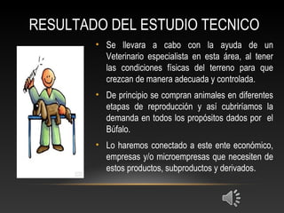 RESULTADO DEL ESTUDIO TECNICO
• Se llevara a cabo con la ayuda de un
Veterinario especialista en esta área, al tener
las condiciones físicas del terreno para que
crezcan de manera adecuada y controlada.
• De principio se compran animales en diferentes
etapas de reproducción y así cubriríamos la
demanda en todos los propósitos dados por el
Búfalo.
• Lo haremos conectado a este ente económico,
empresas y/o microempresas que necesiten de
estos productos, subproductos y derivados.
 