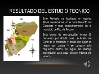 RESULTADO DEL ESTUDIO TECNICO
Este Proyecto se localizara en nuestro
llanos colombianos, en el departamento del
Casanare y mas específicamente en el
municipio de Paz de Ariporo.
Esta granja de reproducción tendrá 10
hectáreas por donde pasa un brazo del
Caño de la Hermosa y desde ese lugar se
riegan sus pastos y se causara solo
pequeños caños de agua de manejo
intermitente para cada división interna del
terreno.
 