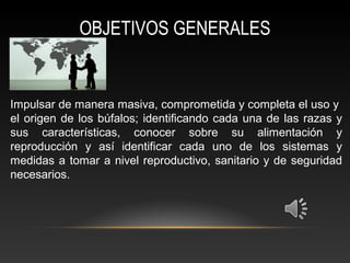 OBJETIVOS GENERALES
Impulsar de manera masiva, comprometida y completa el uso y
el origen de los búfalos; identificando cada una de las razas y
sus características, conocer sobre su alimentación y
reproducción y así identificar cada uno de los sistemas y
medidas a tomar a nivel reproductivo, sanitario y de seguridad
necesarios.
 