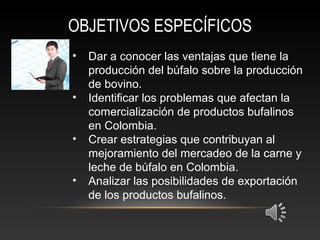 OBJETIVOS ESPECÍFICOS
• Dar a conocer las ventajas que tiene la
producción del búfalo sobre la producción
de bovino.
• Identificar los problemas que afectan la
comercialización de productos bufalinos
en Colombia.
• Crear estrategias que contribuyan al
mejoramiento del mercadeo de la carne y
leche de búfalo en Colombia.
• Analizar las posibilidades de exportación
de los productos bufalinos.
 