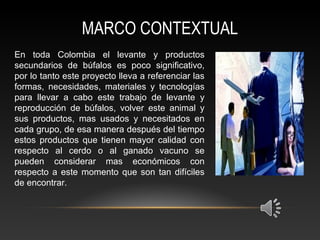 MARCO CONTEXTUAL
En toda Colombia el levante y productos
secundarios de búfalos es poco significativo,
por lo tanto este proyecto lleva a referenciar las
formas, necesidades, materiales y tecnologías
para llevar a cabo este trabajo de levante y
reproducción de búfalos, volver este animal y
sus productos, mas usados y necesitados en
cada grupo, de esa manera después del tiempo
estos productos que tienen mayor calidad con
respecto al cerdo o al ganado vacuno se
pueden considerar mas económicos con
respecto a este momento que son tan difíciles
de encontrar.
 
