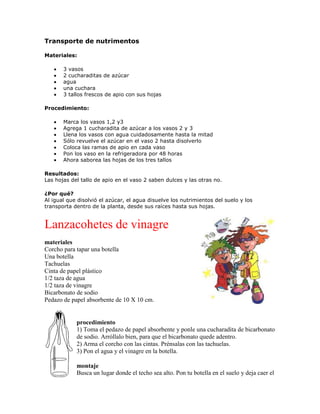 Criadero De Insectos