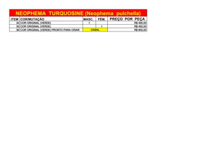 ITEM COR/MUTAÇÃO MASC. FÊM. PREÇO POR PEÇA
34 COR ORIGINAL (VERDE) 1 R$ 450,00
35 COR ORIGINAL (VERDE) 1 R$ 450,00
36 COR ORIGINAL (VERDE) PRONTO PARA CRIAR R$ 800,00
NEOPHEMA TURQUOSINE (Neophema pulchella)
CASAL
 