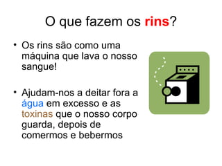 O que fazem os  rins ? Os rins são como uma máquina que lava o nosso sangue! Ajudam-nos a deitar fora a  água  em excesso e as  toxinas  que o nosso corpo guarda, depois de comermos e bebermos 