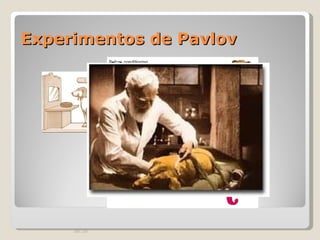 Experimentos de Pavlov 00:20 