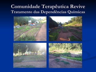 Comunidade Terapêutica Revive Tratamento das Dependências Químicas 