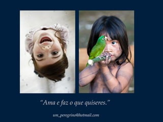 um_peregrino@hotmail.com
“Ama e faz o que quiseres.”
 