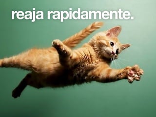 Mesmo falando de um período de 24 horas, cada hora é importante e não deve ser
desperdiçada, portanto se algo não está dando certo deve ser substituído ou cortado, não
adianta passar as 24 horas tentando fazer uma única coisa funcionar.
reaja rapidamente.
 