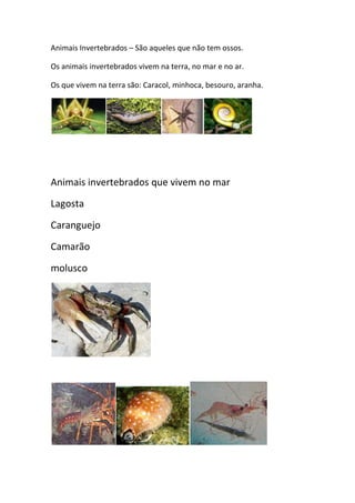 Animais Invertebrados – São aqueles que não tem ossos.
Os animais invertebrados vivem na terra, no mar e no ar.
Os que vivem na terra são: Caracol, minhoca, besouro, aranha.
Animais invertebrados que vivem no mar
Lagosta
Caranguejo
Camarão
molusco
 