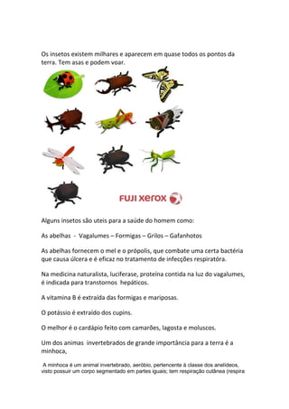 Os insetos existem milhares e aparecem em quase todos os pontos da
terra. Tem asas e podem voar.
Alguns insetos são uteis para a saúde do homem como:
As abelhas - Vagalumes – Formigas – Grilos – Gafanhotos
As abelhas fornecem o mel e o própolis, que combate uma certa bactéria
que causa úlcera e é eficaz no tratamento de infecções respiratóra.
Na medicina naturalista, luciferase, proteína contida na luz do vagalumes,
é indicada para transtornos hepáticos.
A vitamina B é extraída das formigas e mariposas.
O potássio é extraído dos cupins.
O melhor é o cardápio feito com camarões, lagosta e moluscos.
Um dos animas invertebrados de grande importância para a terra é a
minhoca,
A minhoca é um animal invertebrado, aeróbio, pertencente à classe dos anelídeos,
visto possuir um corpo segmentado em partes iguais; tem respiração cutânea (respira
 
