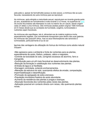 pela pele) e, apesar de hermafrodita (possui os dois sexos), a minhoca não se auto-
fecunda, necessitando de outra minhoca para se reproduzir.
As minhocas, após atingida a maturidade sexual, reproduzem-se durante grande parte
do ano, acasalando-se normalmente à noite durante 2 a 3 horas, na superfície do solo.
Os óvulos fecundados são libertados no solo no interior de um casulo, dando origem
cada um deles a uma minhoca. Oito minhocas adultas podem originar 1500 minhocas
em 6 meses desde que as condições de humidade, oxigénio, luminosidade e
nutrientes sejam favoráveis.
As minhocas são saprófagas, isto é, alimentam-se de matéria orgânica morta,
especialmente vegetais, que normalmente transportam para dentro das suas galerias.
As minhocas não possuem olhos, mas os seus fotoreceptores são sensíveis à
luminosidade, particularmente à luz do sol
lgumas das vantagens da utilização do húmus de minhoca como adubo natural
incluem:
-Não agressivo para o ambiente e fonte de nutrientes para as plantas,
especialmente de azoto, fósforo, potássio, cálcio e magnésio.
-Controle da toxicidade do solo, corrigindo excessos de alumínio, ferro e
manganês.
-Contribuição para um pH mais favorável ao desenvolvimento das plantas.
-Redução da lixiviação e volatilização dos nutrientes das plantas.
-Entrada de água e ar facilitada.
-Drenagem controlada, evitando encharcamentos.
-Alteração da estrutura do solo, suavizando efeitos de erosão, compactação,
impermeabilização e desertificação.
-Promoção da agregação de solos arenosos.
-População microbiana fixadora de azoto abundante.
-Aumento da resistência das plantas a pragas e doenças.
-Absorção favorecida dos nutrientes pelas raízes das plantas.
-Aplicação possível em contacto directo com raízes, não queimando plantas
novas.
 