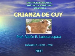 CRIANZA DE CUY Prof. Rubén R. Lupaca Lupaca NARANJILLO – RIOJA – PERÚ 2009 ,[object Object],[object Object],[object Object]