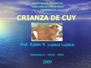 INSTITUCIÓN EDUCATIVA
     “JOSÉ CARLOS MARIÁTEGUI”
            NARANJILLO



CRIANZA DE CUY


Prof. Rubén R. Lupaca Lupaca

     NARANJILLO – RIOJA – PERÚ

              2009
 