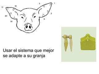 Usar el sistema que mejor
se adapte a su granja
 