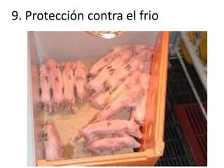 9. Protección contra el frio
 