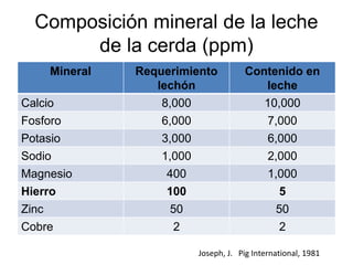 Composición mineral de la leche
de la cerda (ppm)
Mineral Requerimiento
lechón
Contenido en
leche
Calcio 8,000 10,000
Fosforo 6,000 7,000
Potasio 3,000 6,000
Sodio 1,000 2,000
Magnesio 400 1,000
Hierro 100 5
Zinc 50 50
Cobre 2 2
Joseph, J. Pig International, 1981
 