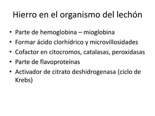 Hierro en el organismo del lechón
• Parte de hemoglobina – mioglobina
• Formar ácido clorhídrico y microvillosidades
• Cofactor en citocromos, catalasas, peroxidasas
• Parte de flavoproteínas
• Activador de citrato deshidrogenasa (ciclo de
Krebs)
 