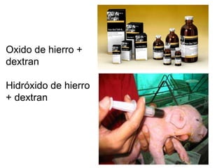 Oxido de hierro +
dextran
Hidróxido de hierro
+ dextran
 