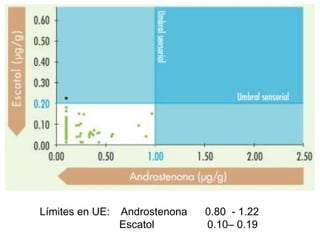 Límites en UE: Androstenona 0.80 - 1.22
Escatol 0.10– 0.19
 