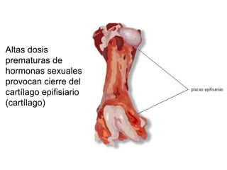 Altas dosis
prematuras de
hormonas sexuales
provocan cierre del
cartílago epifisiario
(cartílago)
 