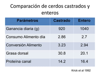 Comparación de cerdos castrados y
enteros
Parámetros Castrado Entero
Ganancia diaria (g) 920 1040
Consumo Alimento día 2.86 2.7
Conversión Alimento 3.23 2.94
Grasa dorsal 30.8 20.1
Proteína canal 14.2 16.4
Krick et al 1992
 