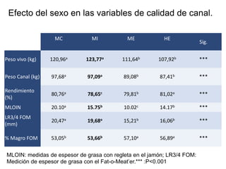 MC MI ME HE
Sig.
Peso vivo (kg) 120,96a 123,77a 111,64b 107,92b ***
Peso Canal (kg) 97,68a 97,09a 89,08b 87,41b ***
Rendimiento
(%)
80,76a 78,65c 79,81b 81,02a ***
MLOIN 20.10a 15.75b 10.02c 14.17b ***
LR3/4 FOM
(mm)
20,47a 19,68a 15,21b 16,06b ***
% Magro FOM 53,05b 53,66b 57,10a 56,89a ***
Efecto del sexo en las variables de calidad de canal.
MLOIN: medidas de espesor de grasa con regleta en el jamón; LR3/4 FOM:
Medición de espesor de grasa con el Fat-o-Meat’er.*** :P<0.001
 