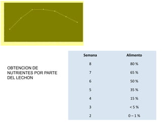 Semana Alimento
8 80 %
7 65 %
6 50 %
5 35 %
4 15 %
3 < 5 %
2 0 – 1 %
OBTENCION DE
NUTRIENTES POR PARTE
DEL LECHON
 