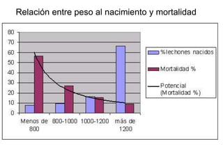 Relación entre peso al nacimiento y mortalidad
 