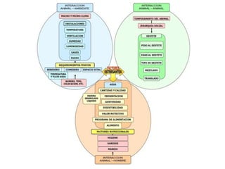 crianza-de-lechones.ppsx