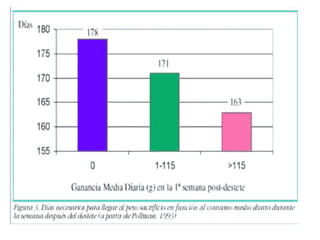 crianza-de-lechones.ppsx