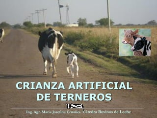 CRIANZA ARTIFICIAL
DE TERNEROS
Ing. Agr. Maria Josefina Cruañes Cátedra Bovinos de Leche
 