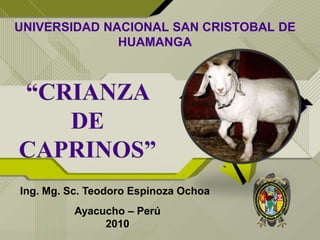 UNIVERSIDAD NACIONAL SAN CRISTOBAL DE
HUAMANGA
Ing. Mg. Sc. Teodoro Espinoza Ochoa
Ayacucho – Perú
2010
 